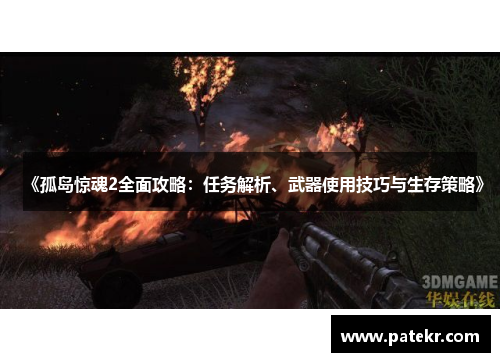 《孤岛惊魂2全面攻略：任务解析、武器使用技巧与生存策略》